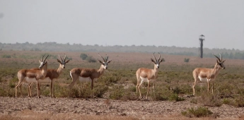 Samarkand - Zeravshan - Bukhara