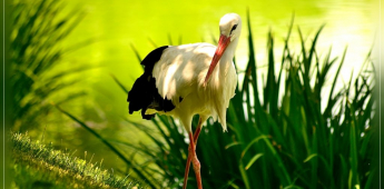Bukhara – Tudakul – Bukhara
