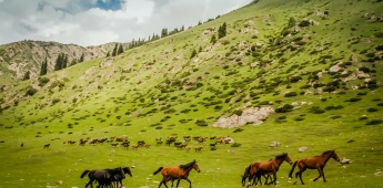 Samarkand - Zeravshan - Bukhara