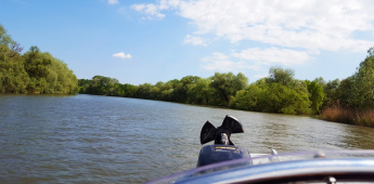 Boat trip in the Danube Delta, overnight in Tulcea