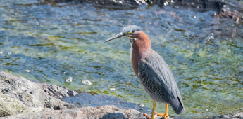 Bukhara – Djeyran reserve – Bukhara