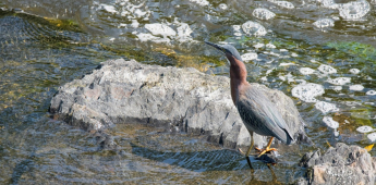 Bukhara – Djeyran reserve – Bukhara