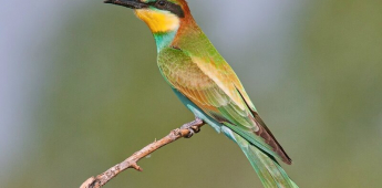 Bukhara – Tudakul – Bukhara