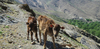 Upper Hayat Village - Samarkand