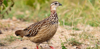 Bukhara – Tudakul – Bukhara