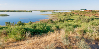 Desert Tour 3 (trekking):