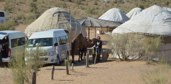 Camel Tour 2 (trekking)