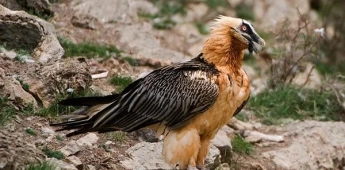 Bukhara – Tudakul – Bukhara